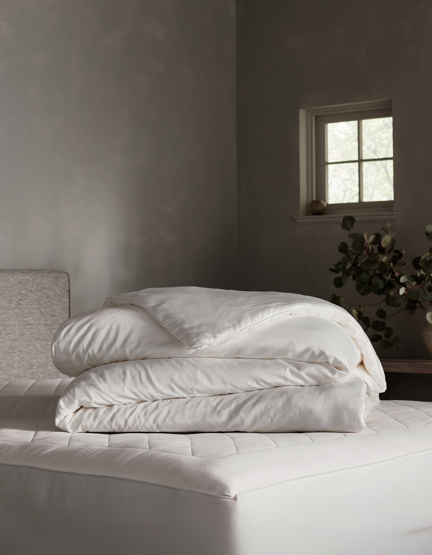 Silk Insert Bundle