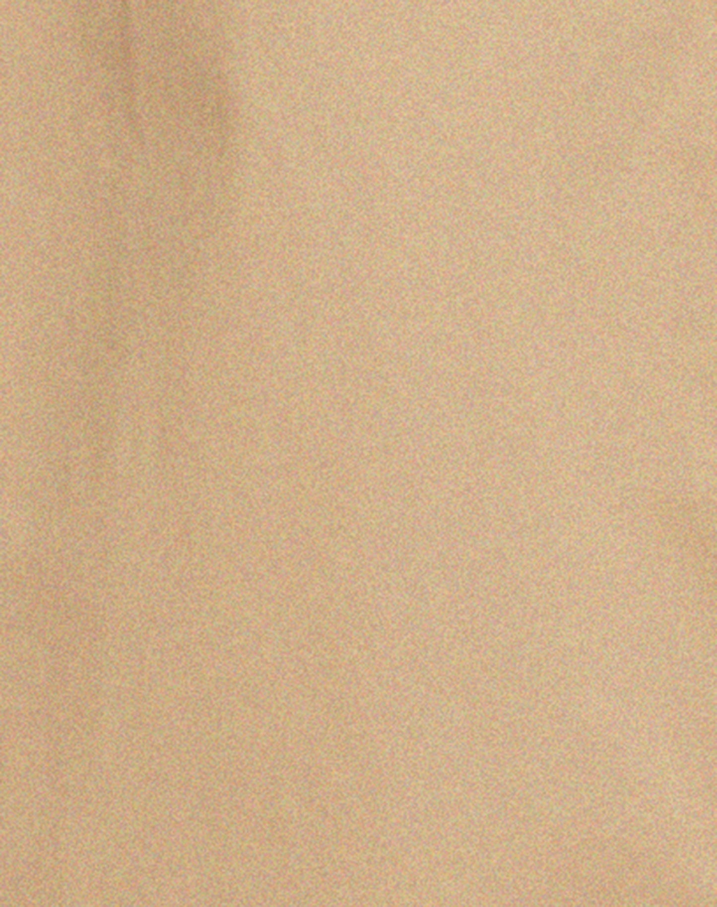 Assa Trench Coat in Tan with Stripe Lining