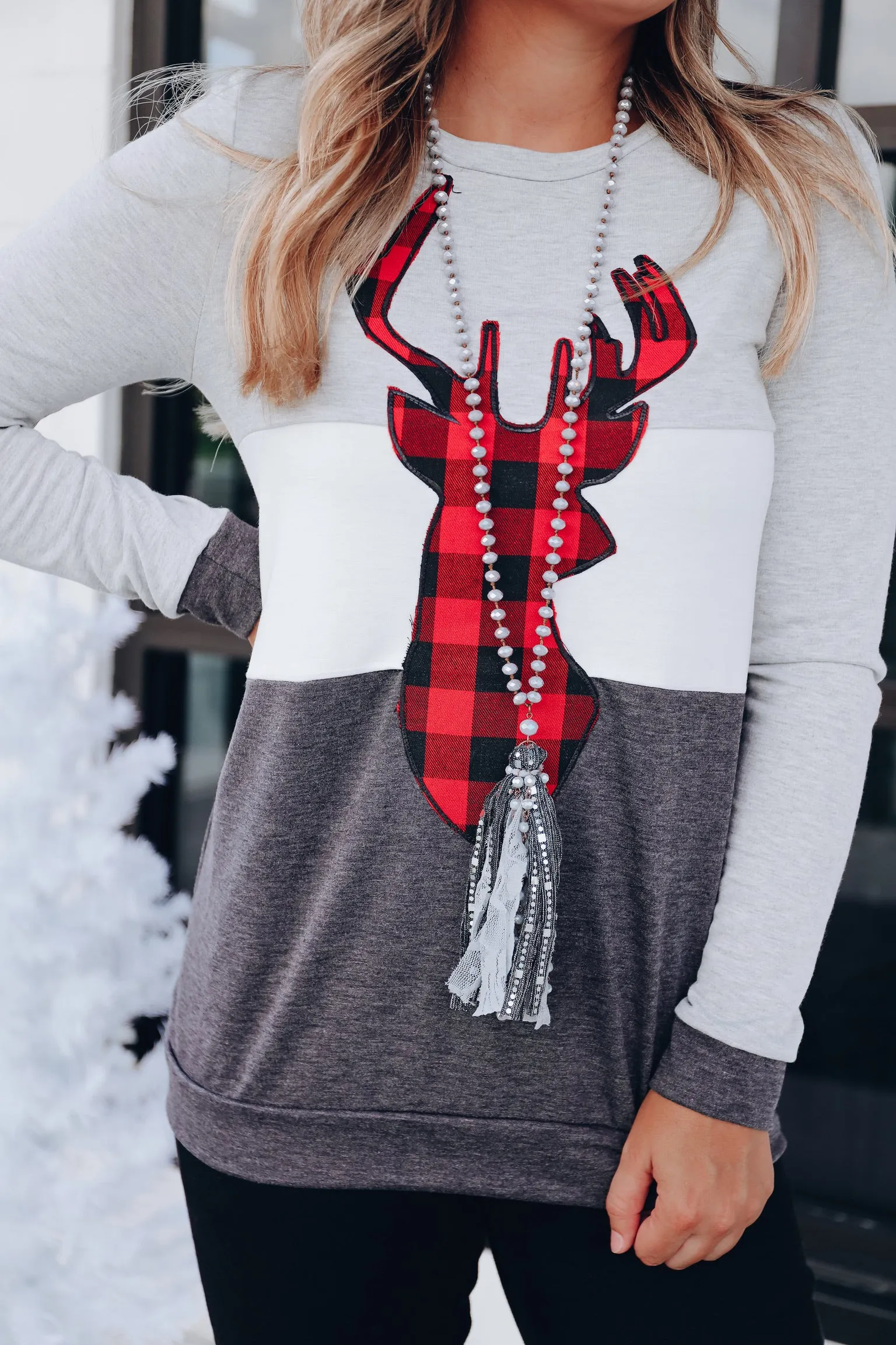 Oh Deer Color Block Top