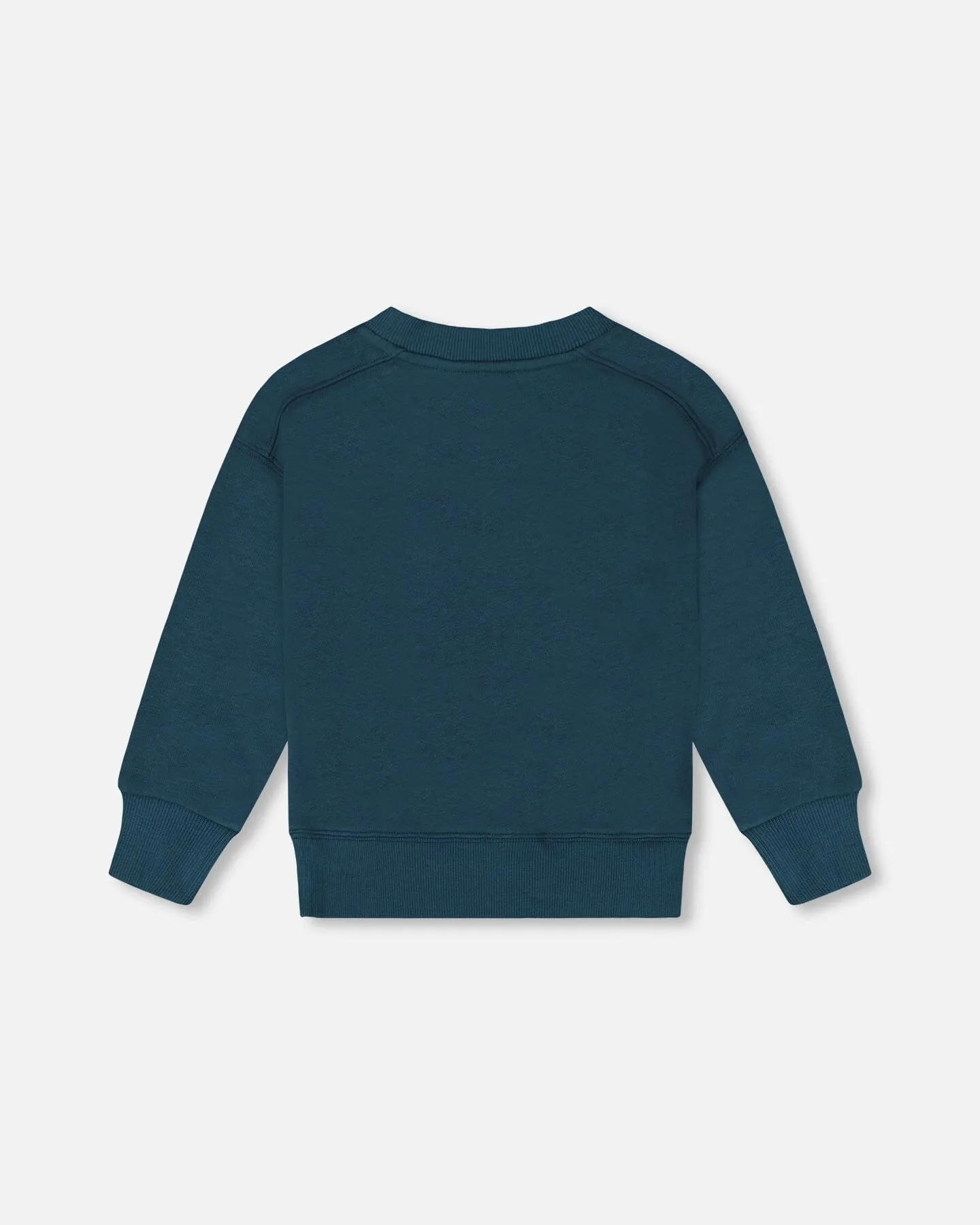 Pullover French Terry Graphic Sweatshirt Teal And Peach