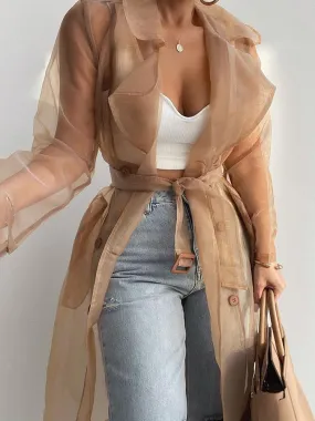 Sheer Mesh Long Sleeve Coat